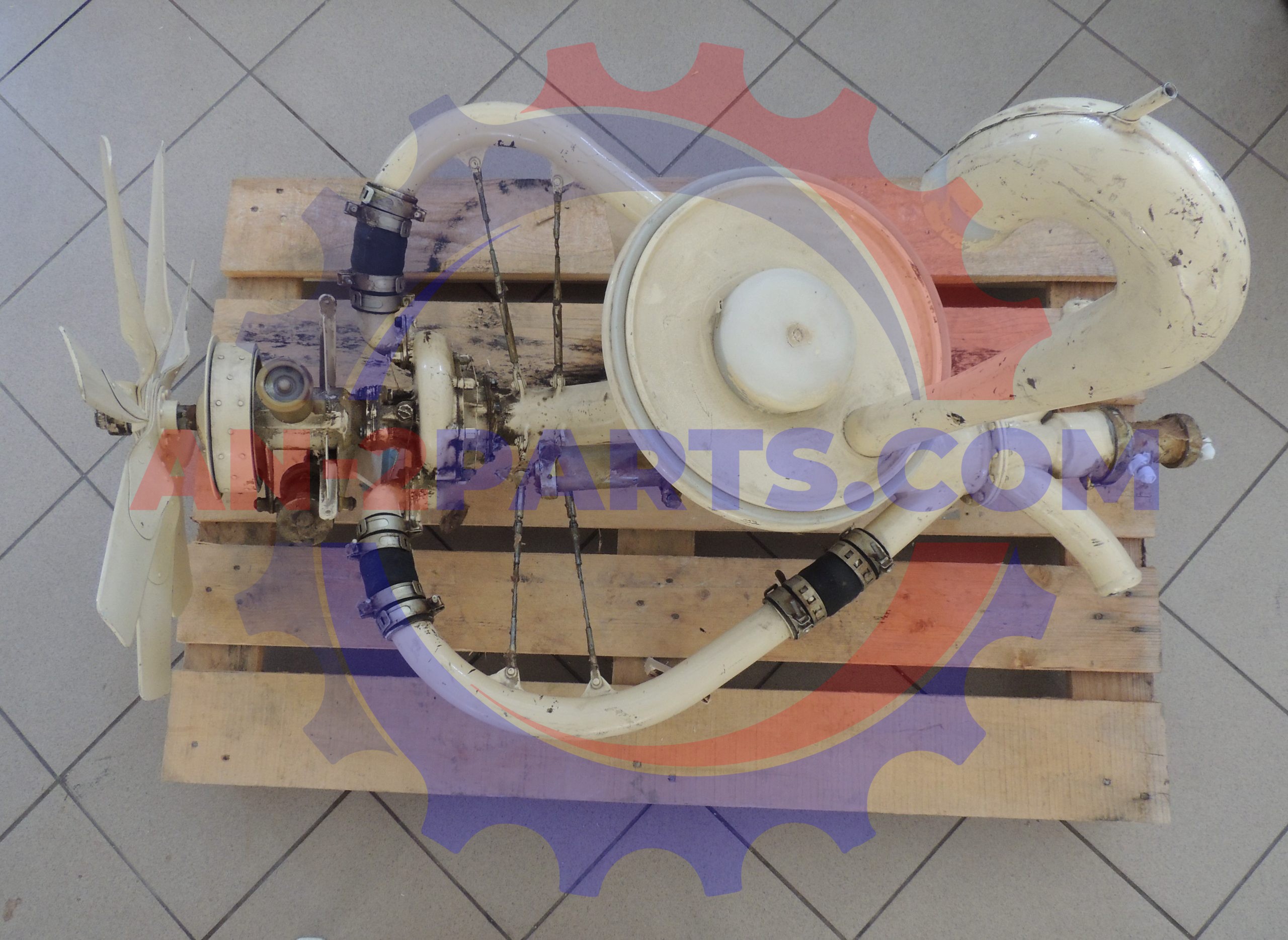 Photo1