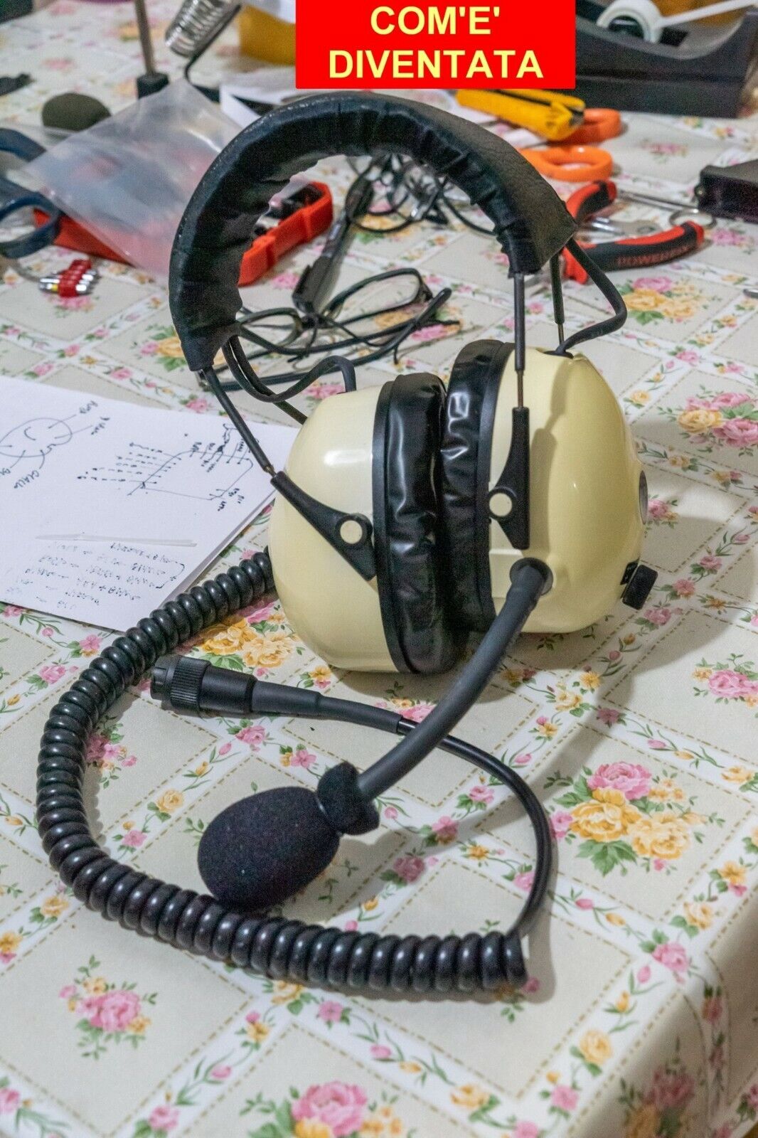 Photo2